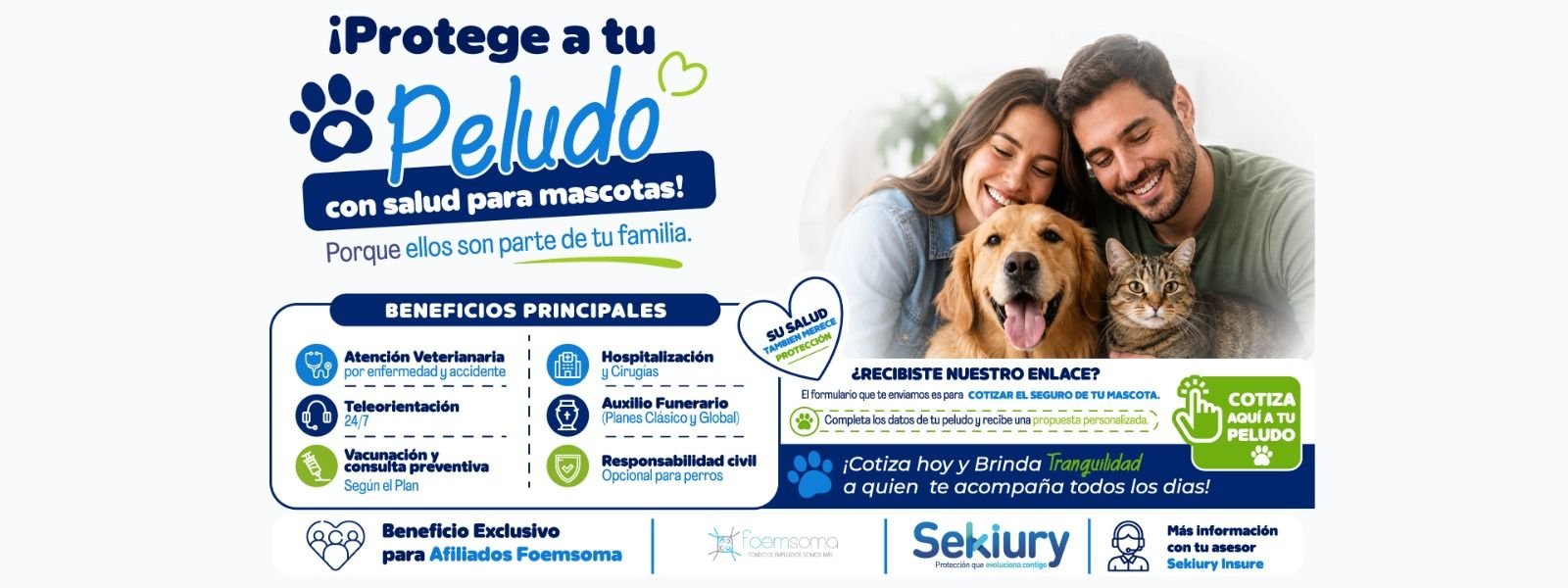 Informacion sobre sekiurity seguros para las mascotas